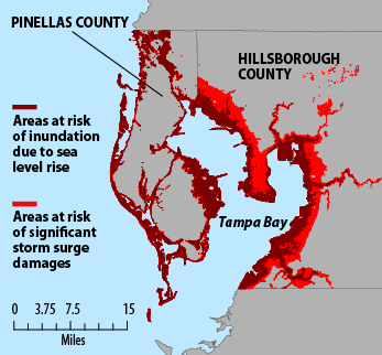 Areas at risk from sea level rise and storm surge in the Tampa Bay area in 2100 under the Reference scenario.Areas nearest the coast are at risk of inundation due to sea level rise.