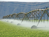 Photo: An irrigation system watering crops