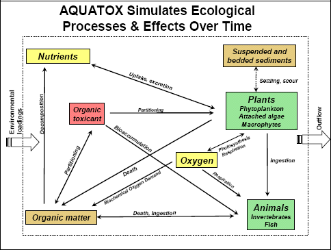 Diagram of the Conceptual model of the AQUATOX model.