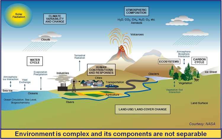 An illustration of interrelated industry and ecosystems.