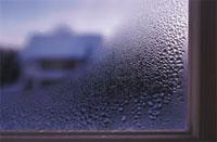 Condensation on a windowpane