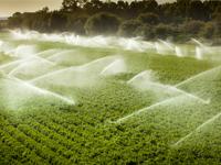 photo of irrigation system