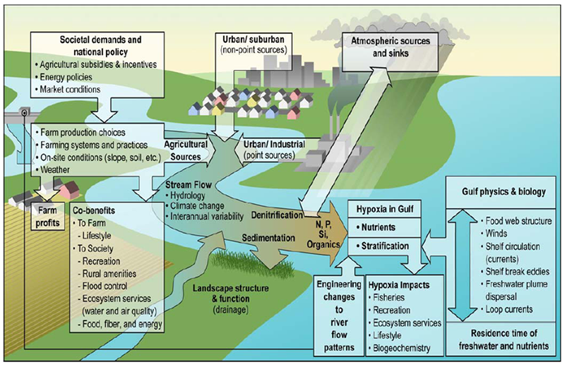 An example of a conceptual model of an integrated approach.