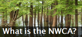Background on the National Wetland Condition Assessment