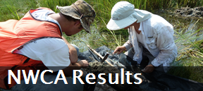 Results for the National Wetland Condition Assessment