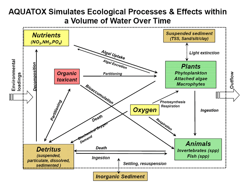 Environmental Modeling 101: Training Module | Environmental Modeling ...