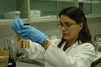 Photo of biologist compairing samples in test tubes.