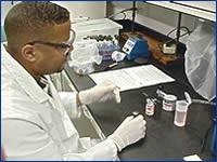 Biologist preparing sample for microbiological analysis.
