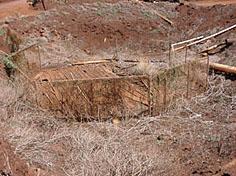 A very large gang cesspool, it is approximately 40 feet across and simply covered by wood planks.