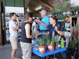 Staff members talking with community members about native plants at an information table at a farmer's market