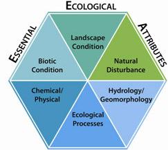 Six Essential Ecological Attributes that describe ecosystem condition