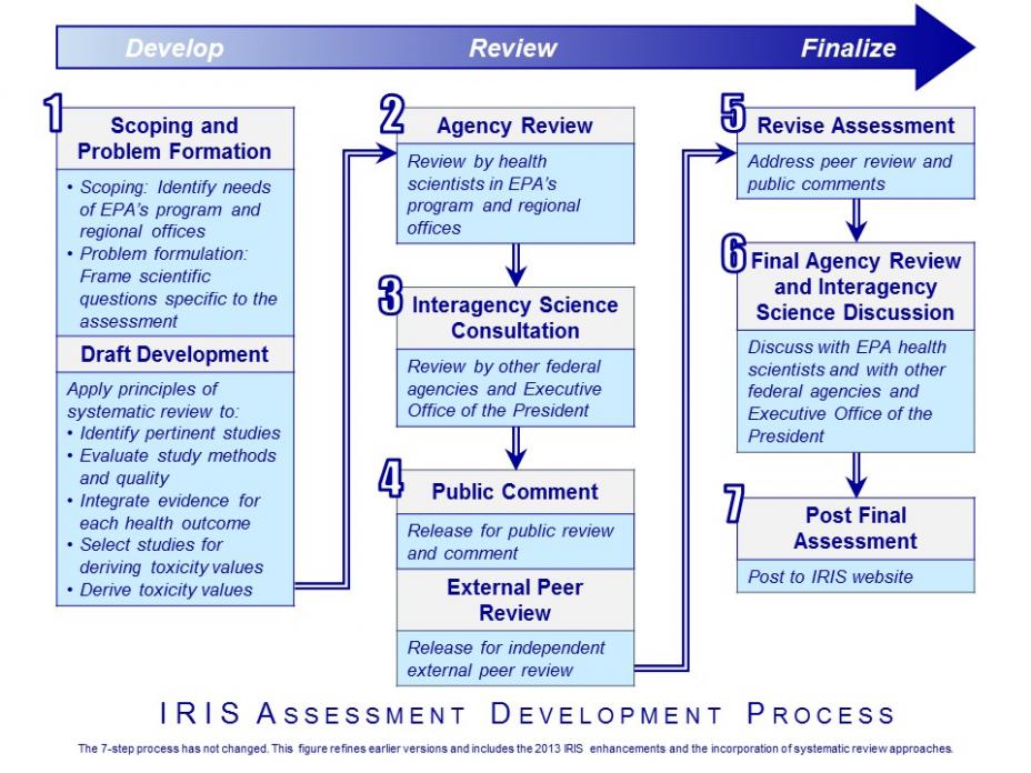 IRIS Process Diagram Illustrates the 7-Step Process for Developing IRIS Assessment