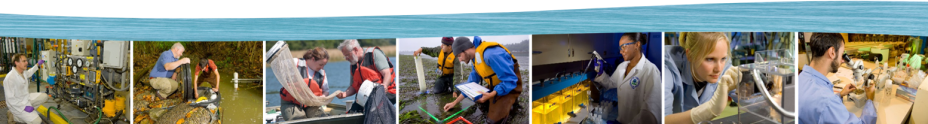 EPA staff conducting water-related research