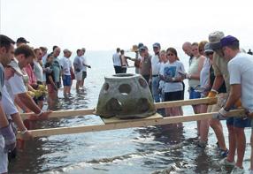 Local National Estuary Programs - Photo Credit: Sarasota Bay Estuary Program