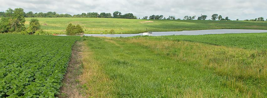 Agriculture in the Midwest banner