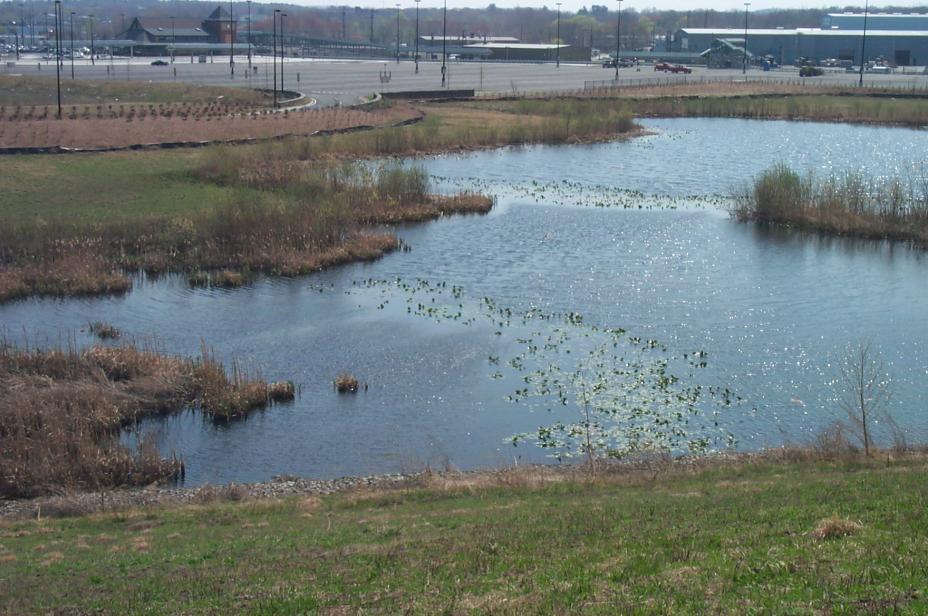 Industriplex Transport Center and Wetlands Superfund Site, After Cleanup