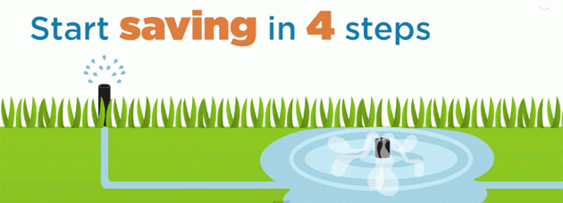 Start Saving Water in 4 Steps