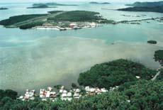 Aerial photograph of islands with lots of mangroves and some houses.