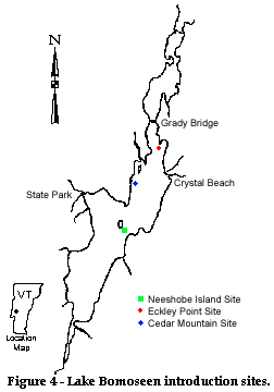 Figure 4 - Lake Bomoseen introduction sites