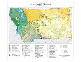 Level IV Ecoregions of Montana-- page size