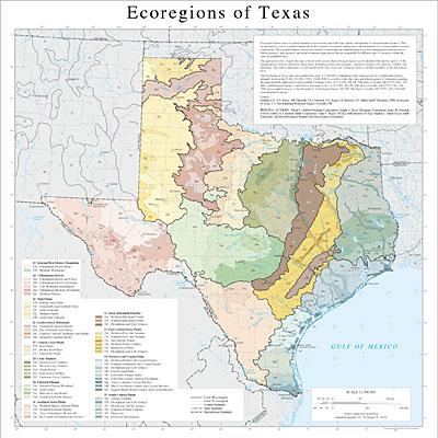 Ecoregions Of Texas Map My Xxx Hot Girl