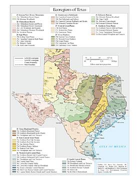 Ecoregion Download Files by State - Region 6 | Ecosystems Research | US EPA