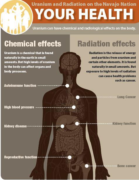 Cover of ‘Uranium and Radiation on the Navajo Nation Your Health” PDF showing chemical and radiation effects on the body. For the text version of this image and the complete document, click on the link below to the document page and view the PDF.