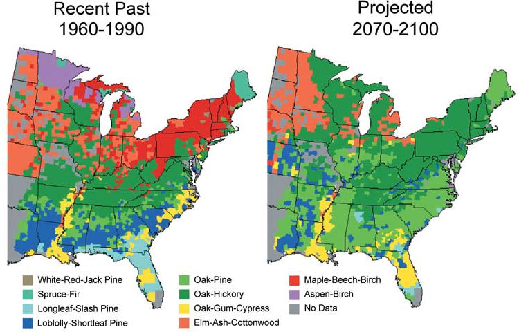 Two maps of the eastern US showing the current (1960 to 1990) and projected (2070 to 2100) forest types. Overall there is a projected shift of species, with decreased diversity of forest types in the future.