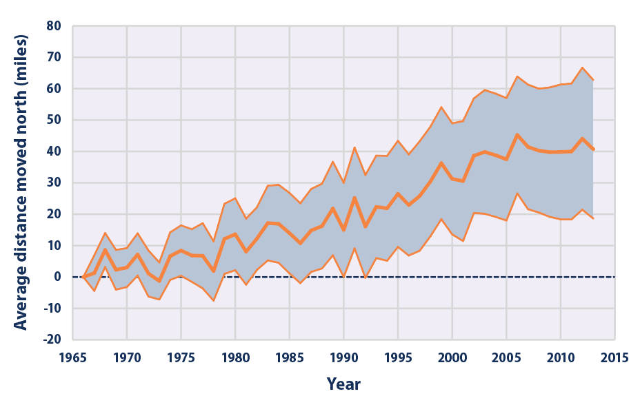Line graph showing the extent to which bird populations shifted northward from 1966 to 2013.