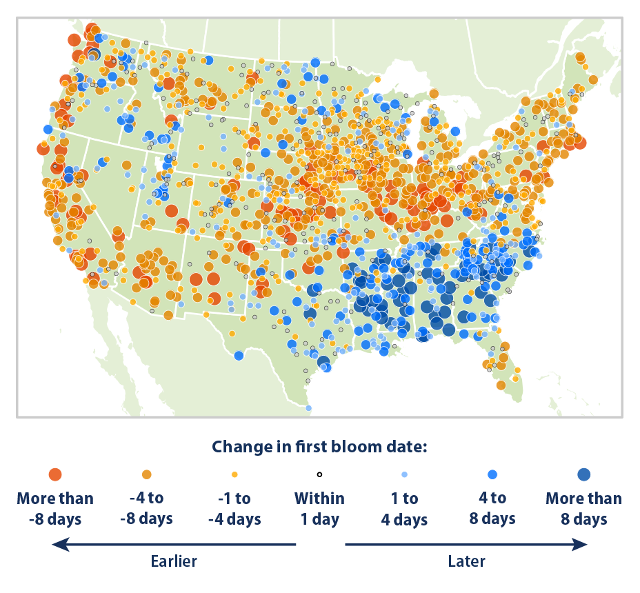 Map showing the change in first bloom dates at weather stations across the contiguous 48 states. This map compares the average first bloom date during two 10-year periods: 1951-1960 and 2006-2015.