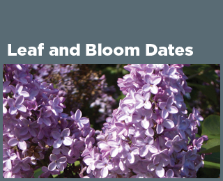 Leaf and Bloom Dates