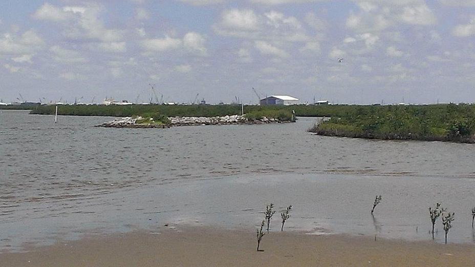 Caminada Headland Back Barrier Marsh Creation 