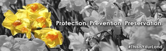 This is an image of a flower with the phrase "protection. Prevention. Preservation." on it 