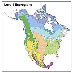 Level I Ecoregions