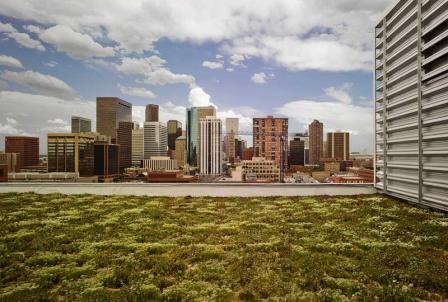 View of Denver and the green roof form the roof of the region 8 headquarters.