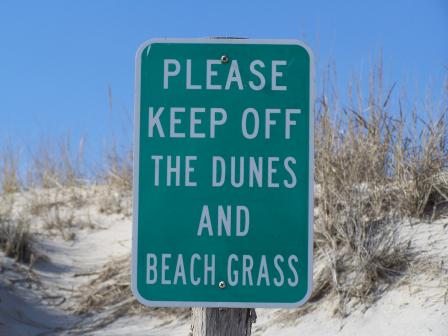 Photo of sign to keep off the dunes and beach grass
