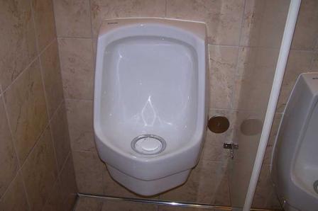 Image of a waterless urinal
