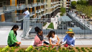 Via Verde Rooftop Gardens