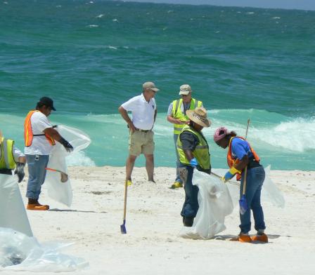 people cleaning up the beach