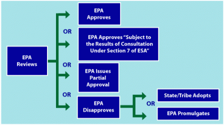 Flowchart - EPA determination options and subsequent actions