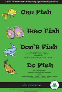 One Fish, Two Fish advice poster from EPA