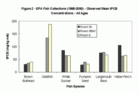 EPA Fish Collections (1998-2000) - Observed Mean tPCB Concentrations - All Ages