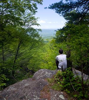 Young man sitting on rock looking out into a forest.