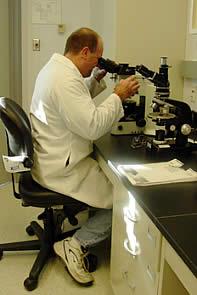 Region 1 scientist using microscope.