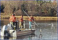 Scientist using electro- fishing technique from a boat.