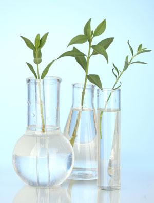 Test tubes on blue background with plants inside