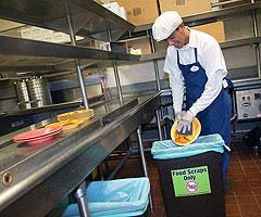 Kitchen worker scraping food waste into recycle bin labeled 'Food Scraps Only'