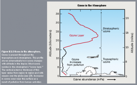 This profile shows schematically how ozone changes with altitude in the tropics.