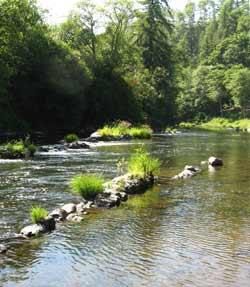 Photo of a river