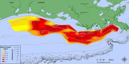 2015 Gulf of Mexico Hypoxic Zone